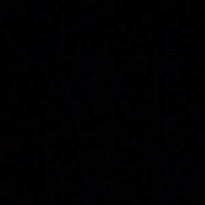 Meet your Posher, Gavin